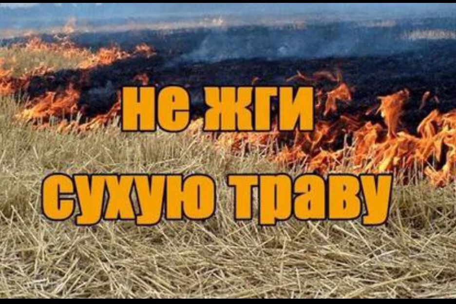Вина человека при возникновении глобальных пожаров