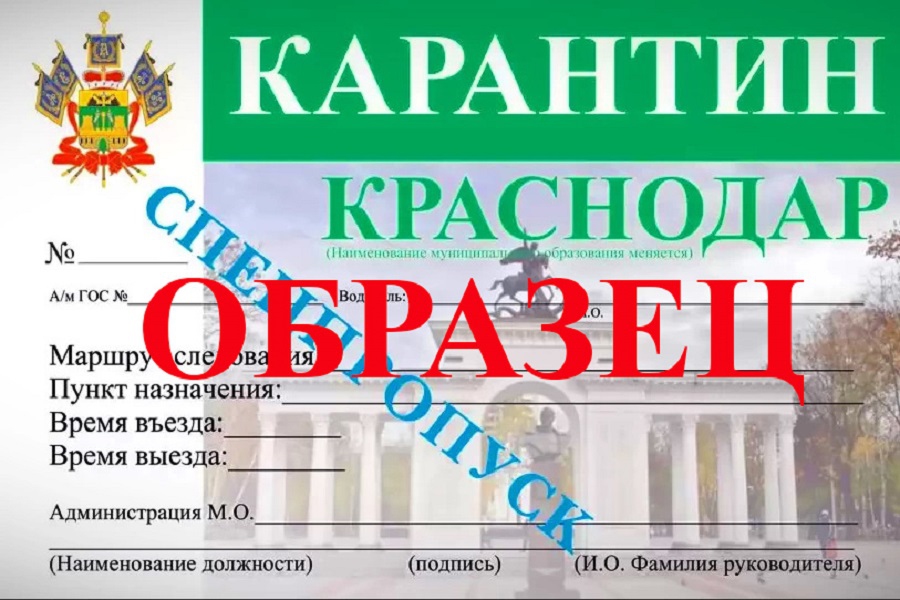 Для получения зеленых пропусков на автомобили для организаций (предприятий, магазинов и тд) необходимо: