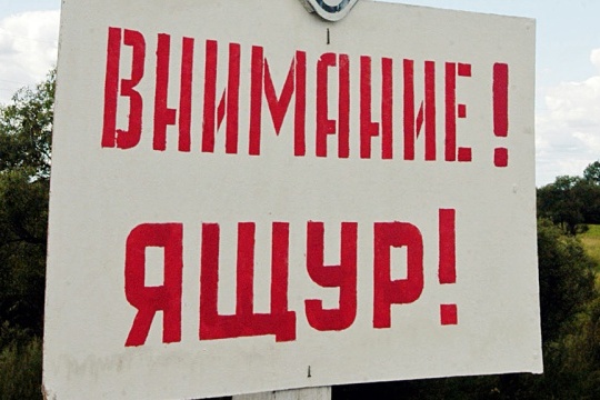 Ящур