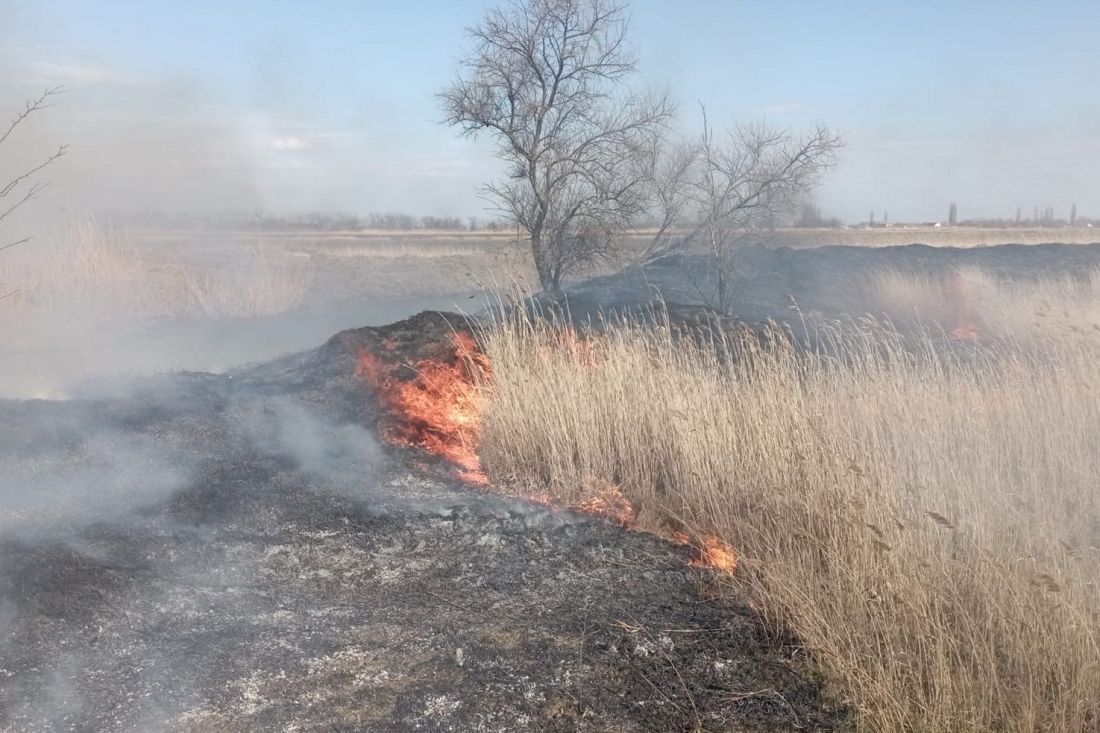 К чему приводят пожары на особо охраняемой природной территории?