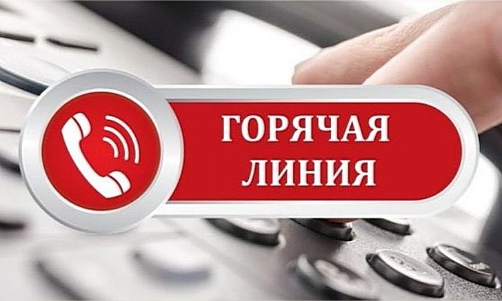 Для помощи пожилым жителям Кубани организована «горячая линия»