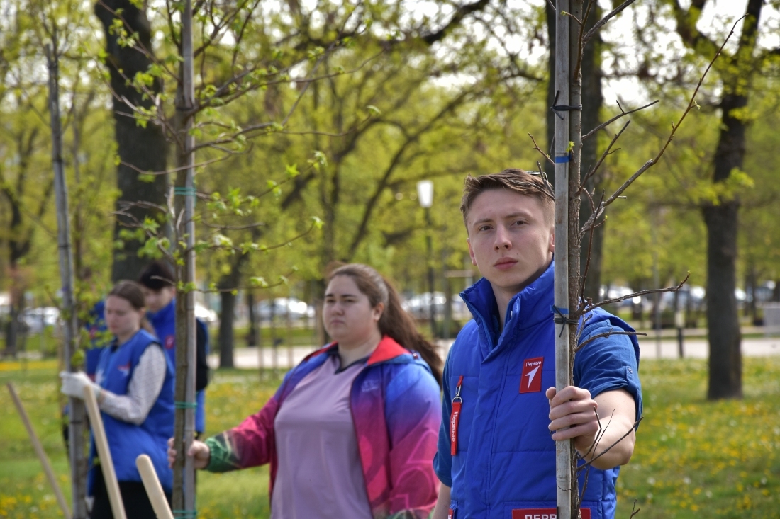 В Славянском районе прошла высадка деревьев, приуроченная к акции «Сад памяти»
