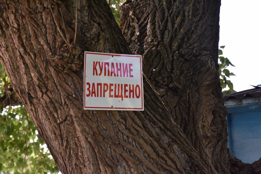 Проведена проверка запрещенных мест купания вдоль береговой линии реки Протока