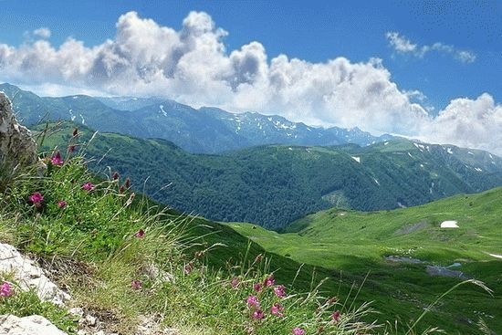 Премии в области туризма