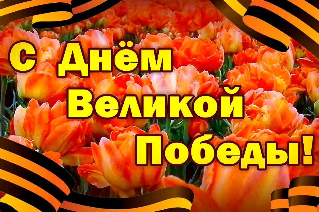 Гордимся нашими ветеранами