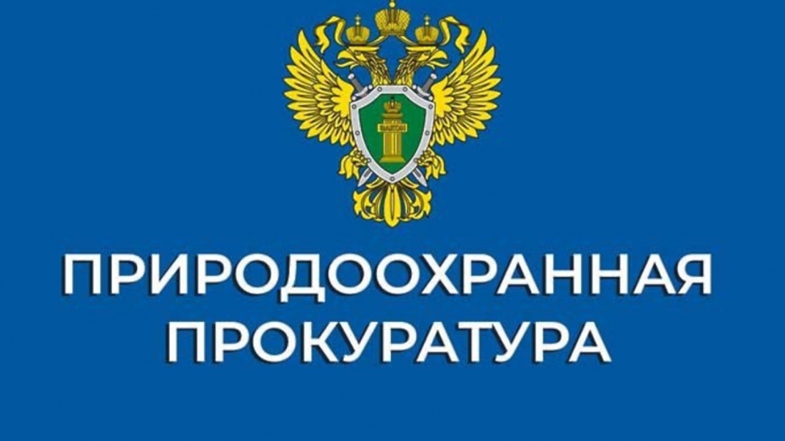 Природоохранная прокуратура разъясняет изменения, внесенные в Кодекс Российской Федерации об административных правонарушениях