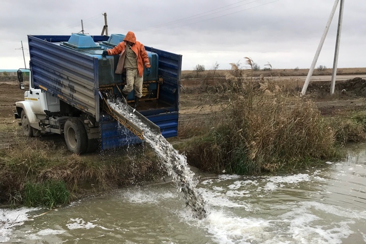 Совет по природным ресурсам и охране окружающей среды