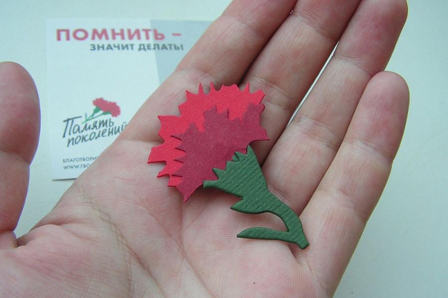 Всероссийская акция «Красная гвоздика»