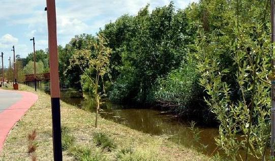 В социальные сети главы района поступают комментарии жителей о неприятном запахе на эко-тропе