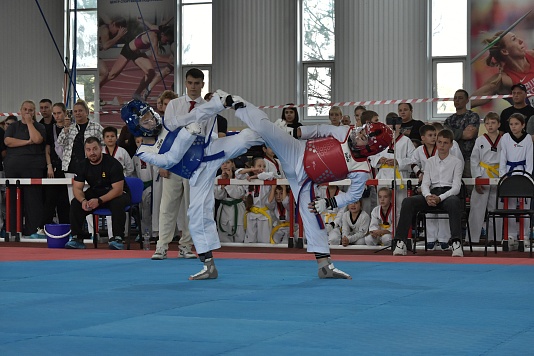 Юные тхэквондисты показали мастерство на "Кубке дружбы"