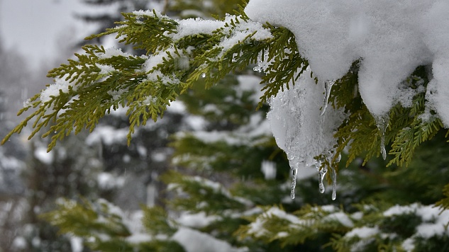 Готовимся к активному таянию снега в связи с плюсовыми температурами
