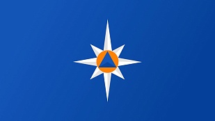 Оперативный ежедневный прогноз